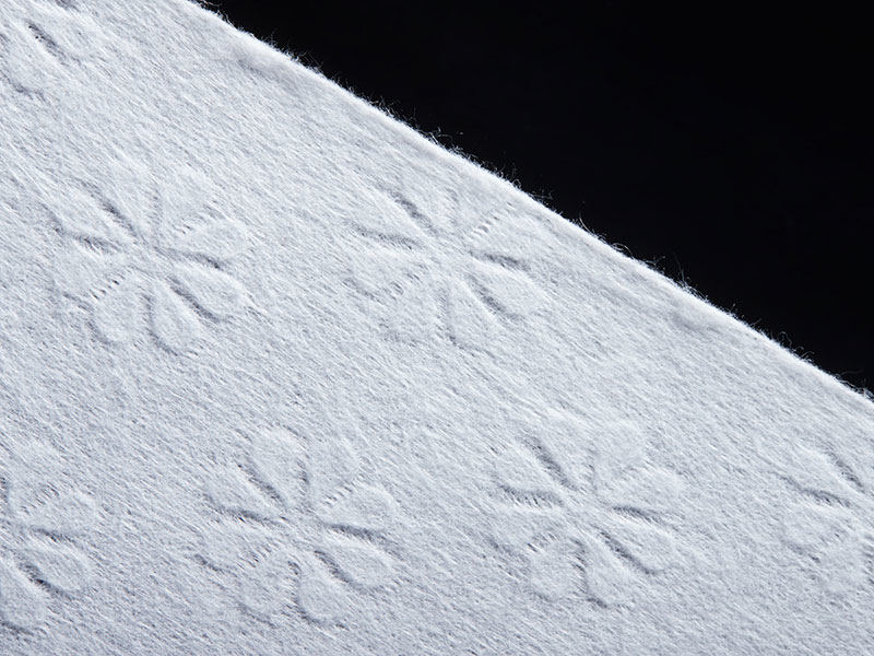 Polyester HK Flower Spunlace For Coating